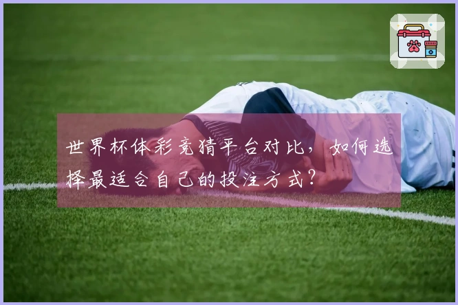 世界杯体彩竞猜平台对比，如何选择最适合自己的投注方式？