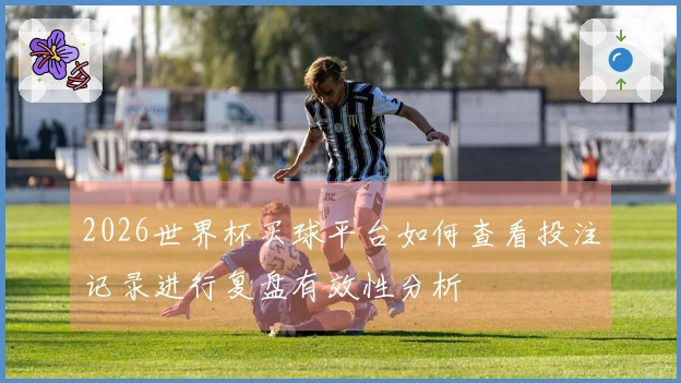 2026世界杯买球平台如何查看投注记录进行复盘有效性分析