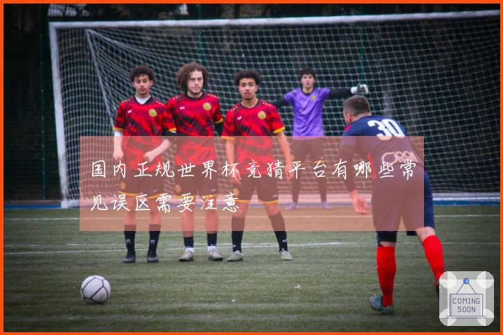 国内正规世界杯竞猜平台有哪些常见误区需要注意
